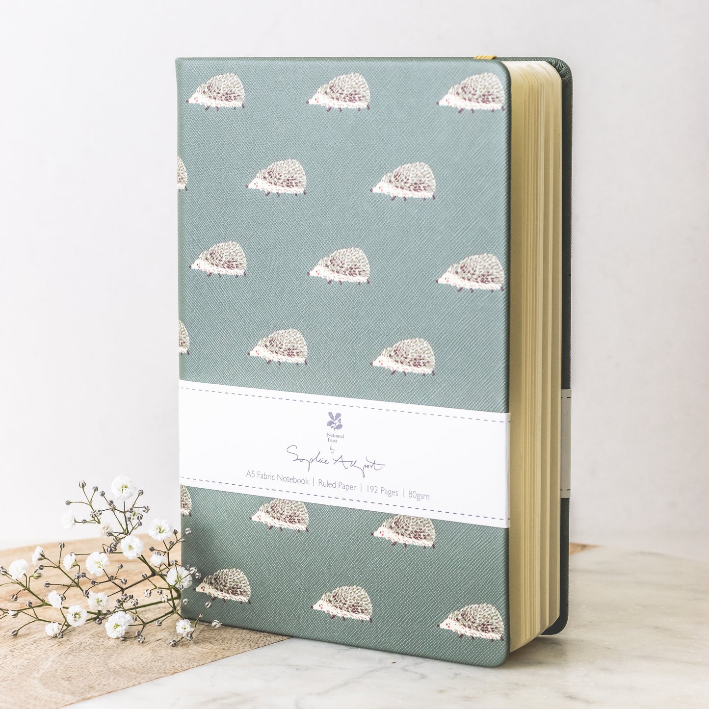 Sophie allport hedgehog notebook