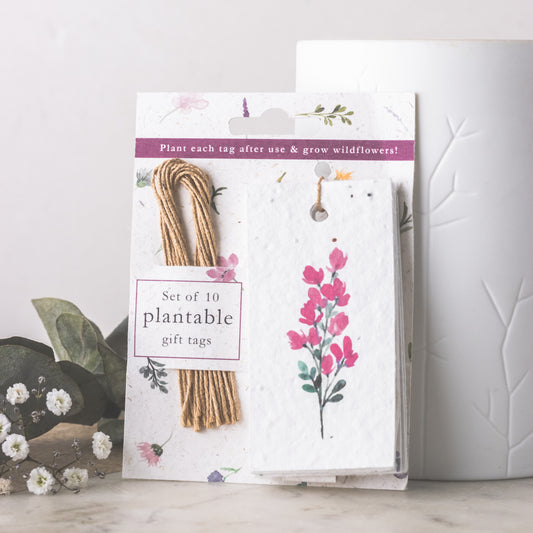 Little green gifts  plantable wildflower gift tags flowers