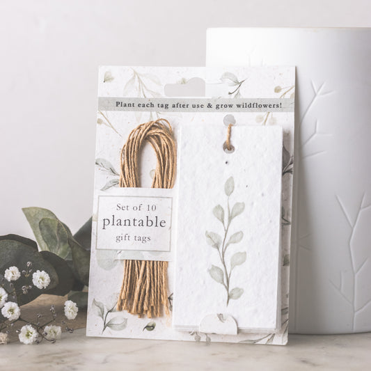 Little green gifts plantable wildflower gift tags Eucalyptus