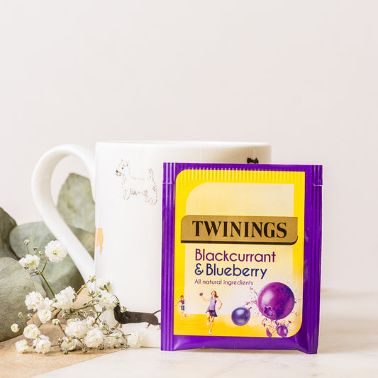 Twinnings blackcurrant and blueberry single serve