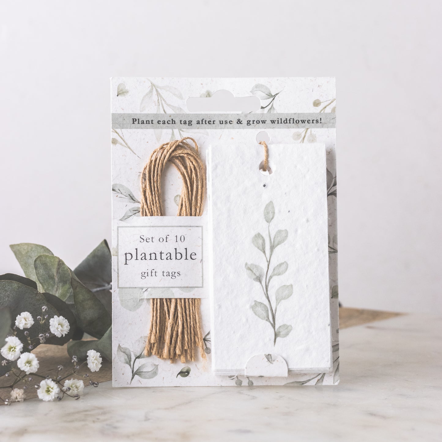 Little green gifts plantable wildflower gift tags Eucalyptus