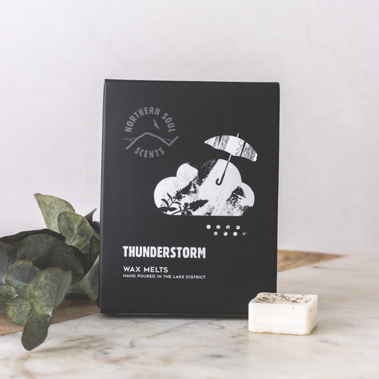 Northern soul scents thunderstorm wax melts