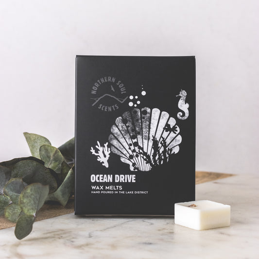 Northern soul scents ocean drive wax melts